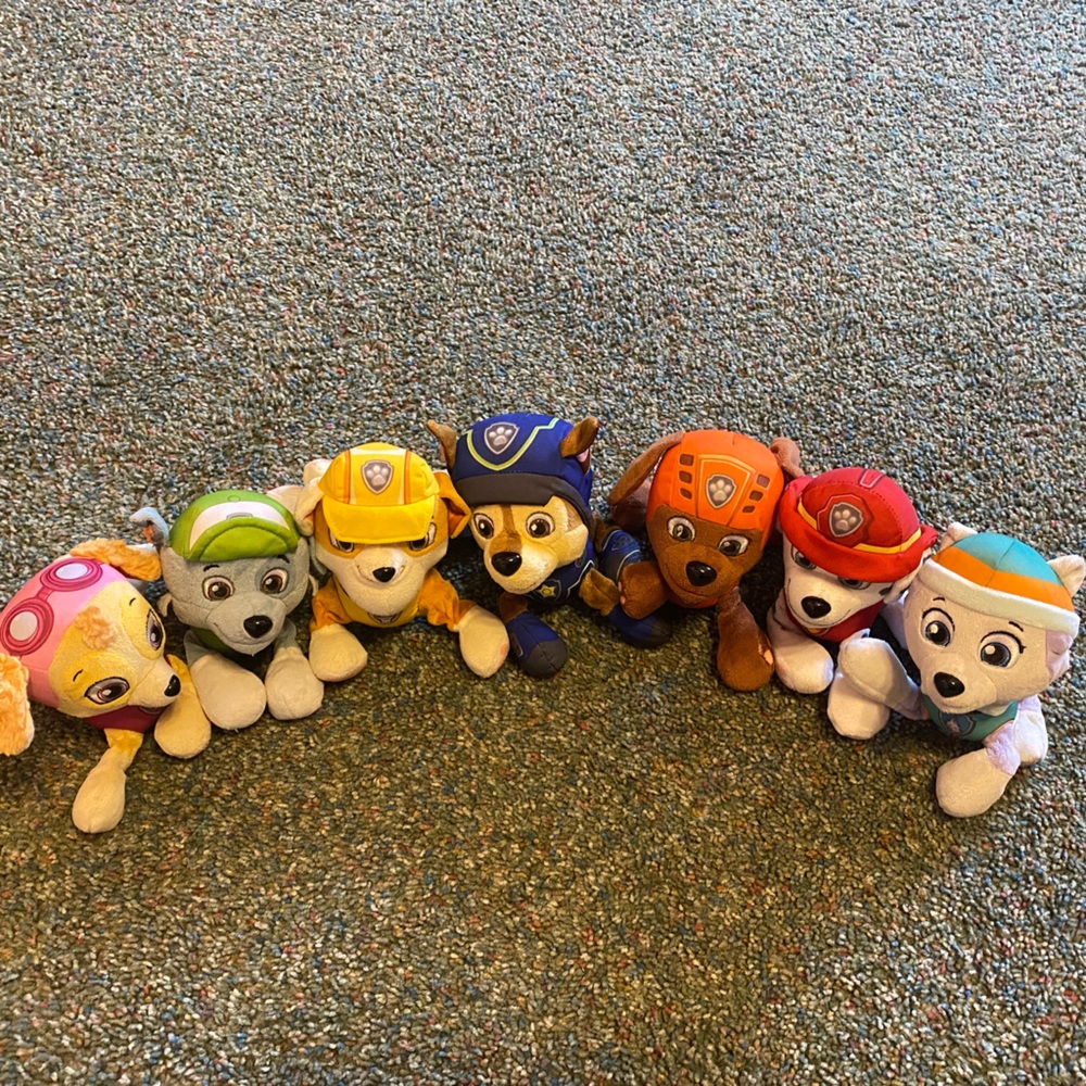 Paw Patrol Lot - All Pups!